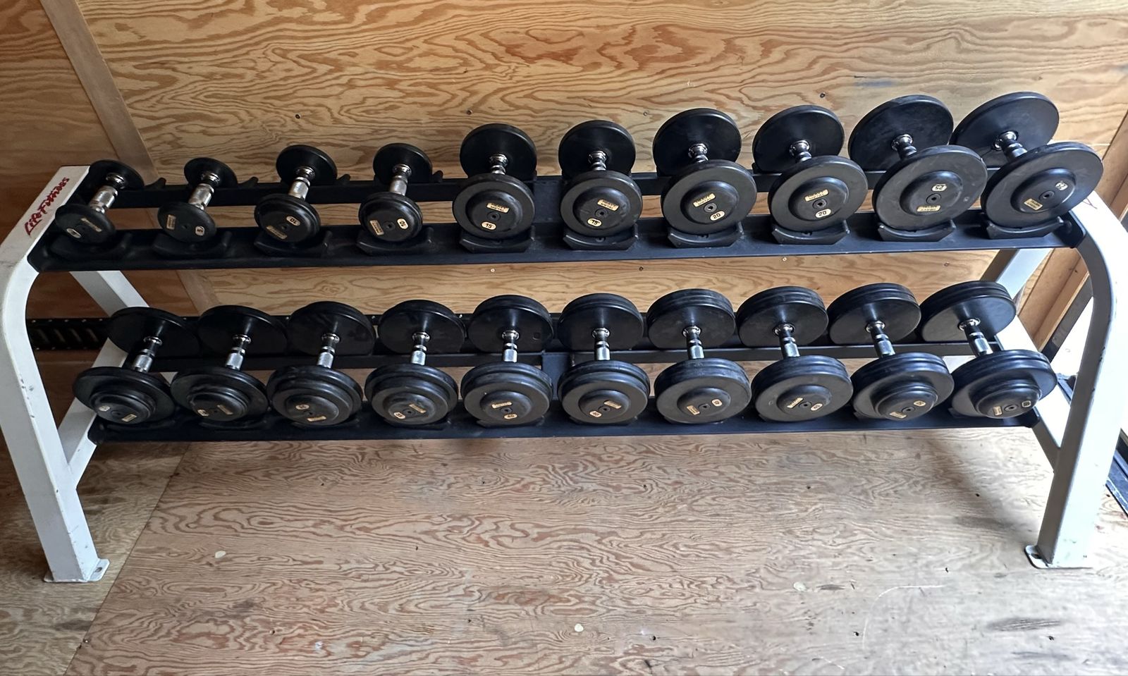 Pro-Style Rubber Dumbbells & Life Fitness Rack