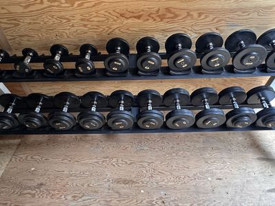 Pro-Style Rubber Dumbbells & Life Fitness Rack