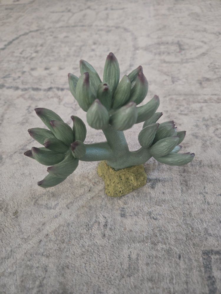 Artificial Succulent Plant Decoration for reptile aquarium