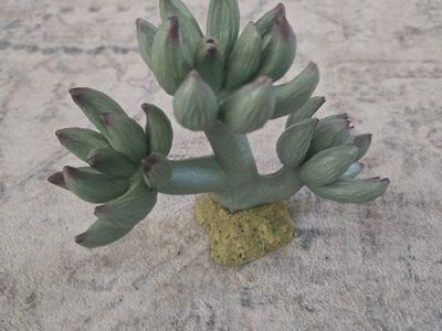 Artificial Succulent Plant Decoration for reptile aquarium