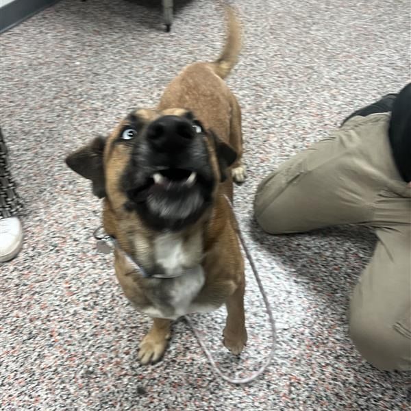 Hello my name is Mazda