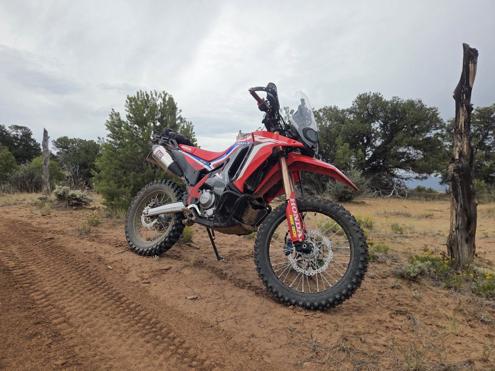 2024 HONDA CRF300L RALLEY