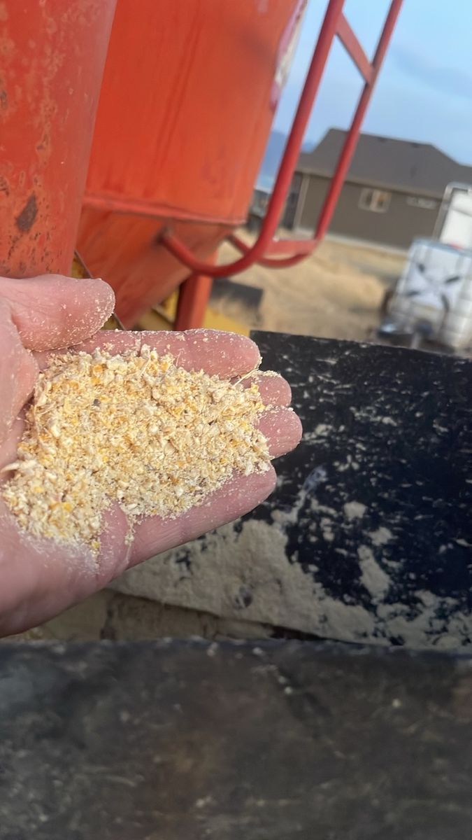 Multi animal feed