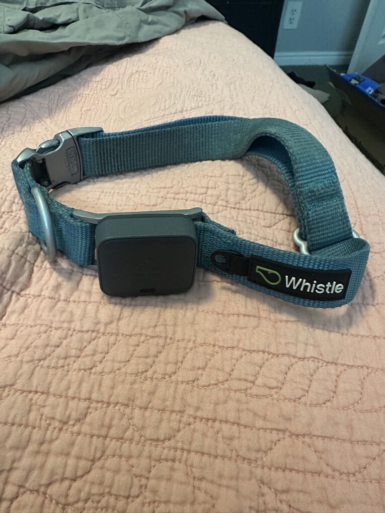 Whistle GO Dog gps