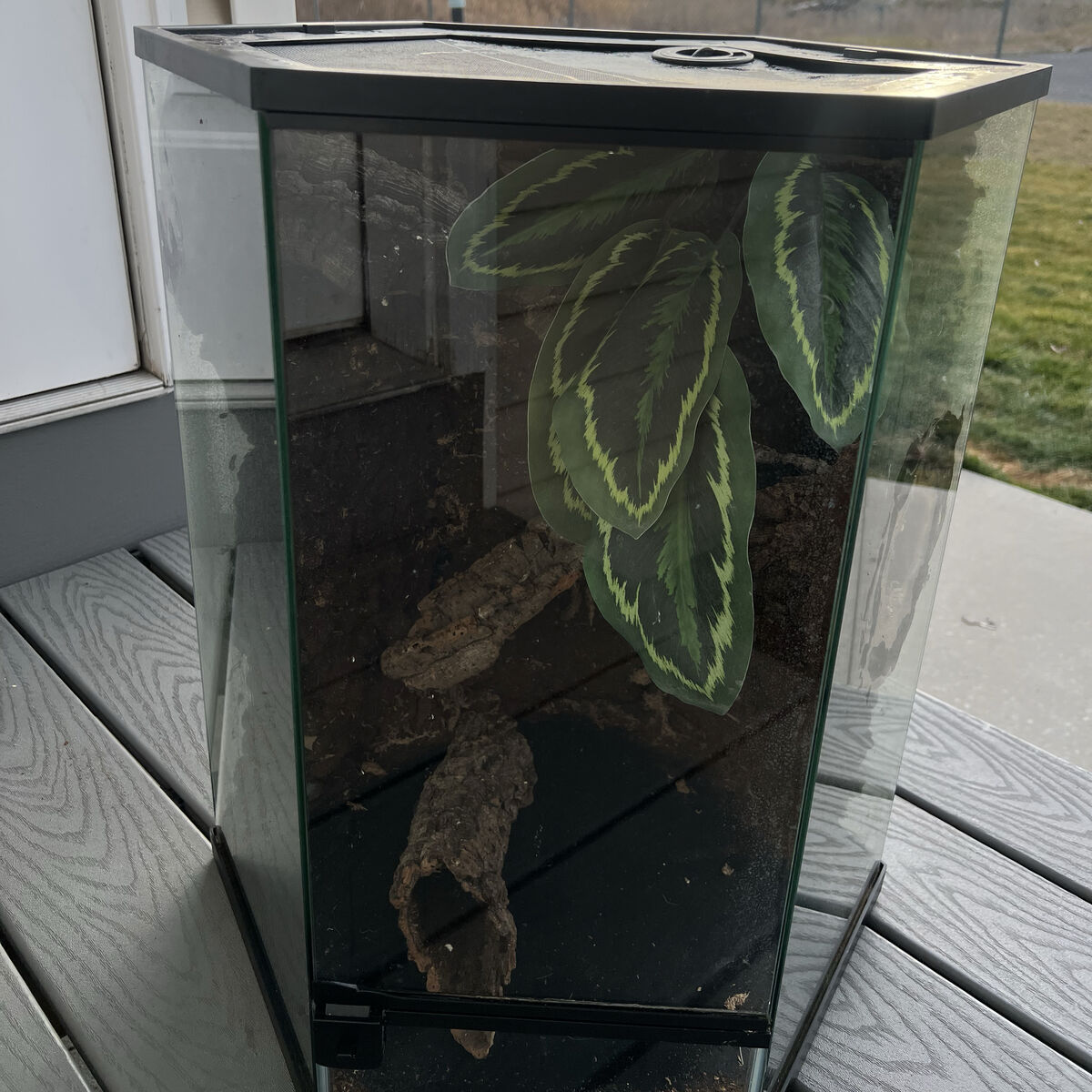 Thrive hexagon enclosure