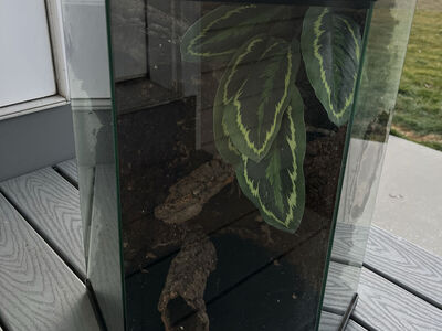 Thrive hexagon enclosure