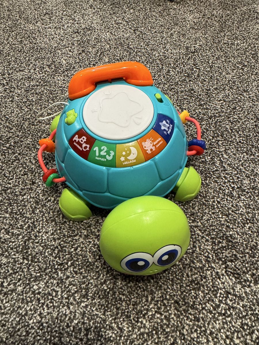 Baby Learning Turtle