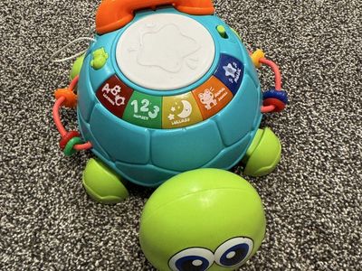 Baby Learning Turtle