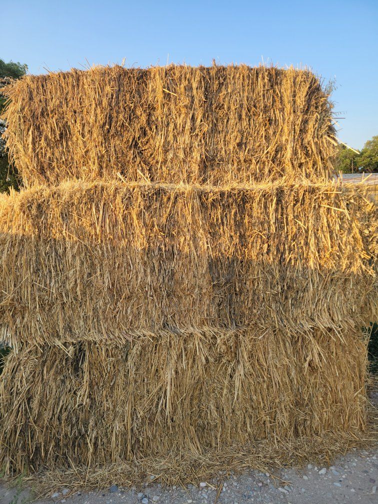 3x4 grass feeder hay