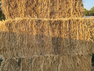 3x4 grass feeder hay