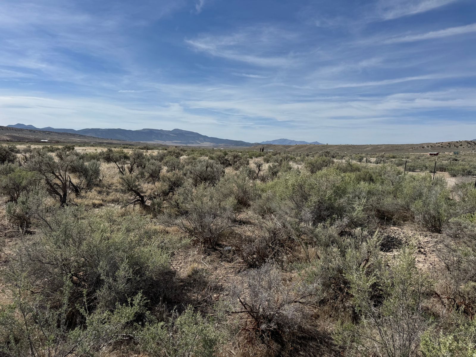 Main image 25