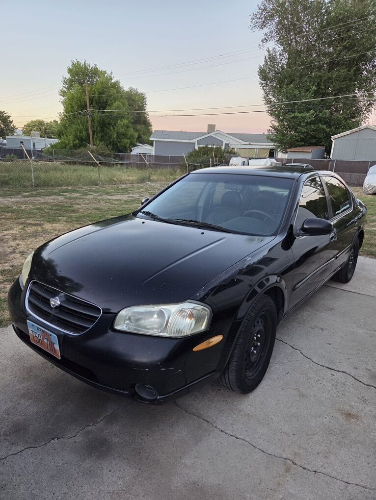 Nissan Maxima 2000