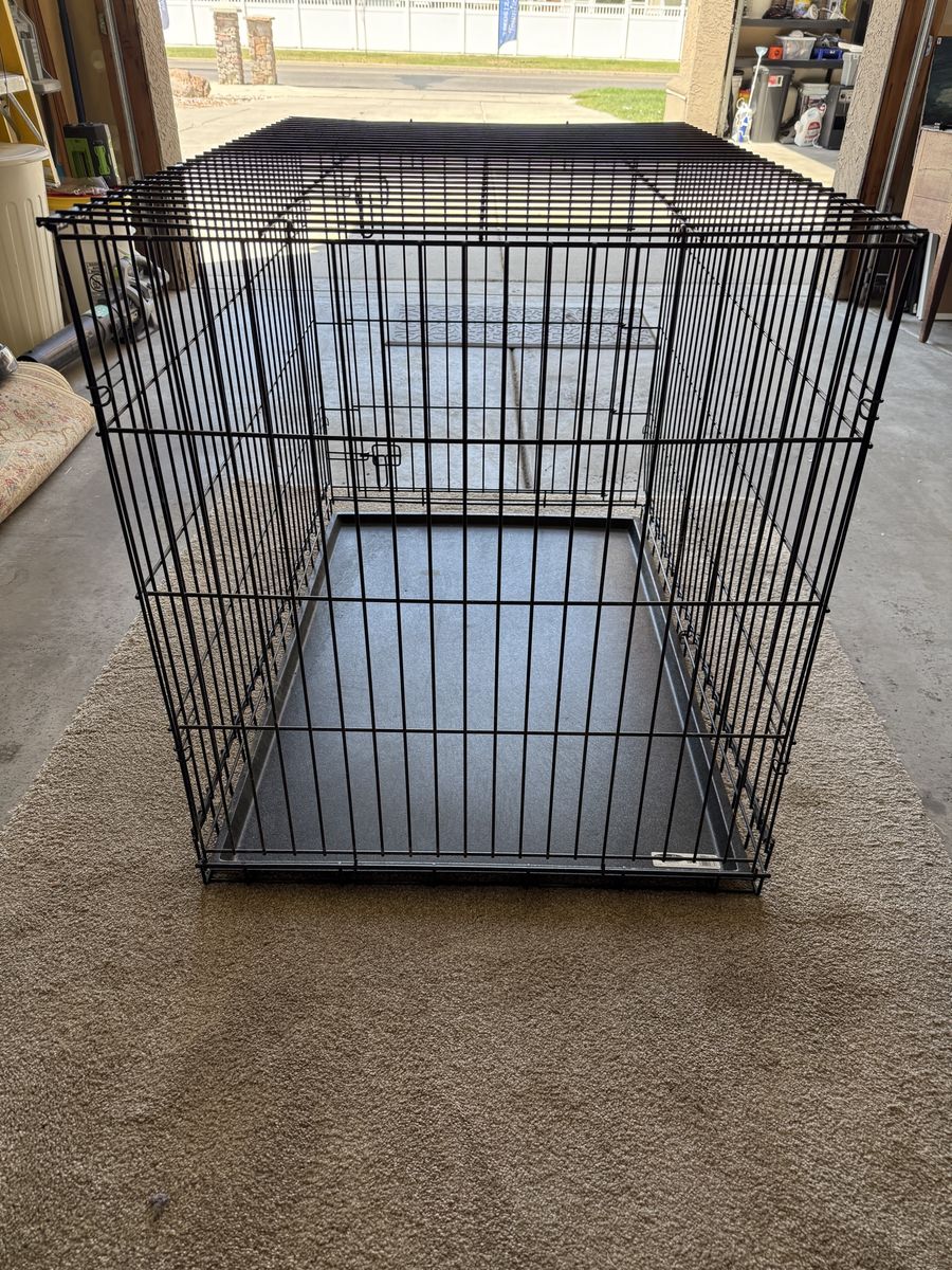 Better Buy Model 1242 Large Dog Crate - 42" x 28" x 32" Wire Kennel w/ Tray