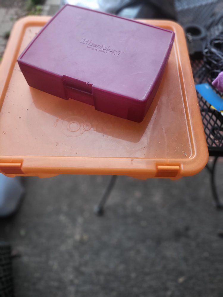 set of 2 Purple Container and orange