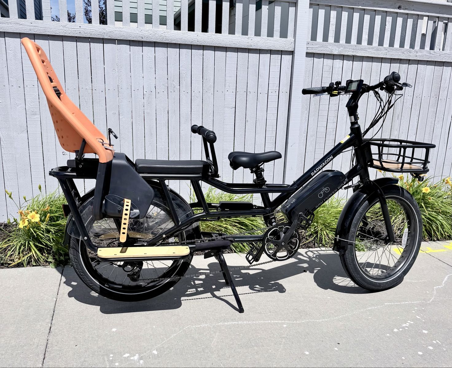 RadWagon E bike