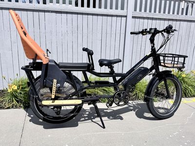 RadWagon E bike