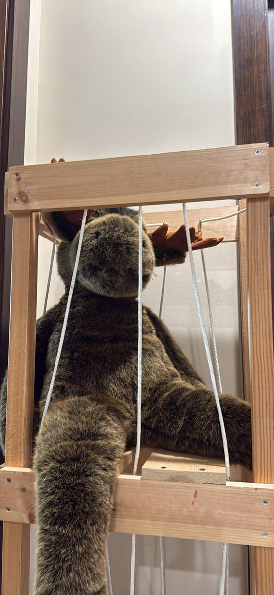 Stuffed animal zoo organizer (moose not included)