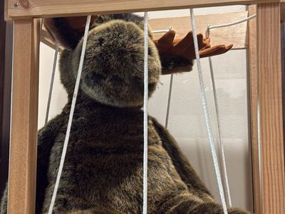Stuffed animal zoo organizer (moose not included)