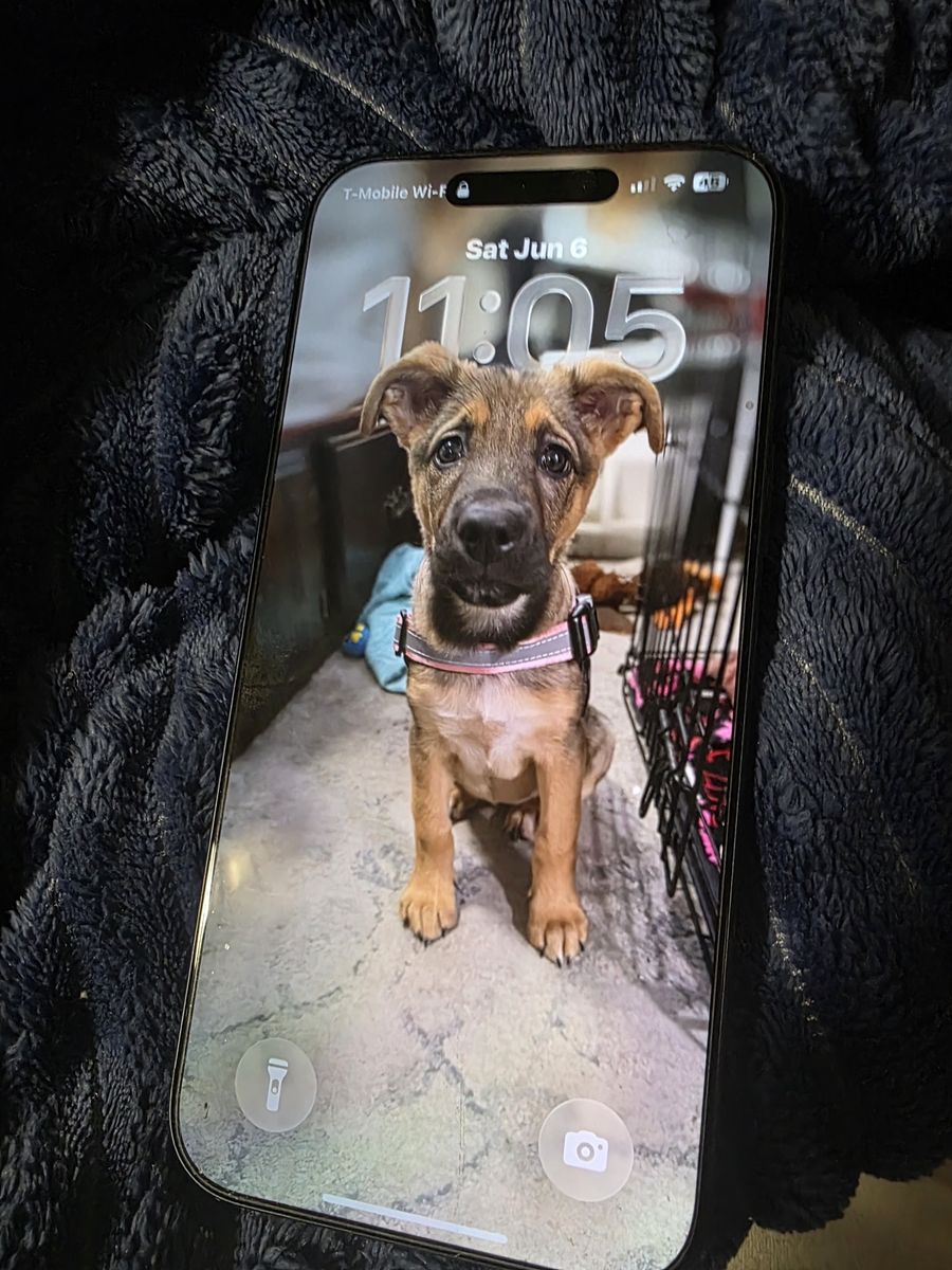 iPhone 17 pro max (T-Mobile)