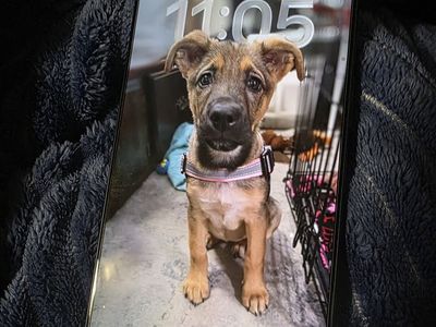 iPhone 17 pro max (T-Mobile)
