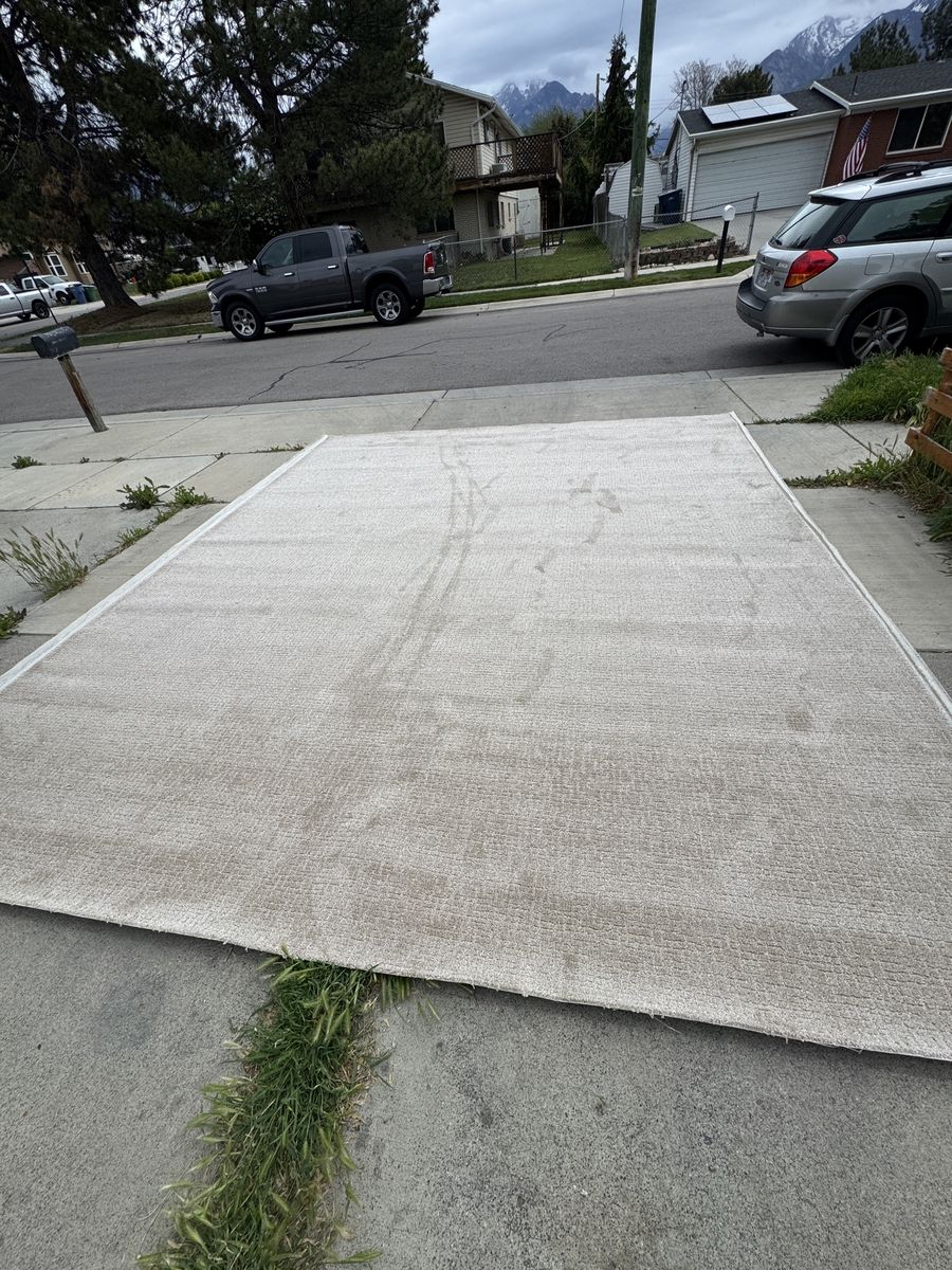 Brand New Carpet