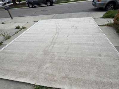 Brand New Carpet