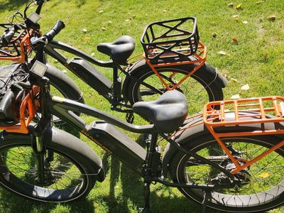Matching Rad Rover E-bikes Set with Car Rack