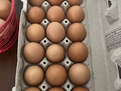 $2/18 pk Fresh Eggs