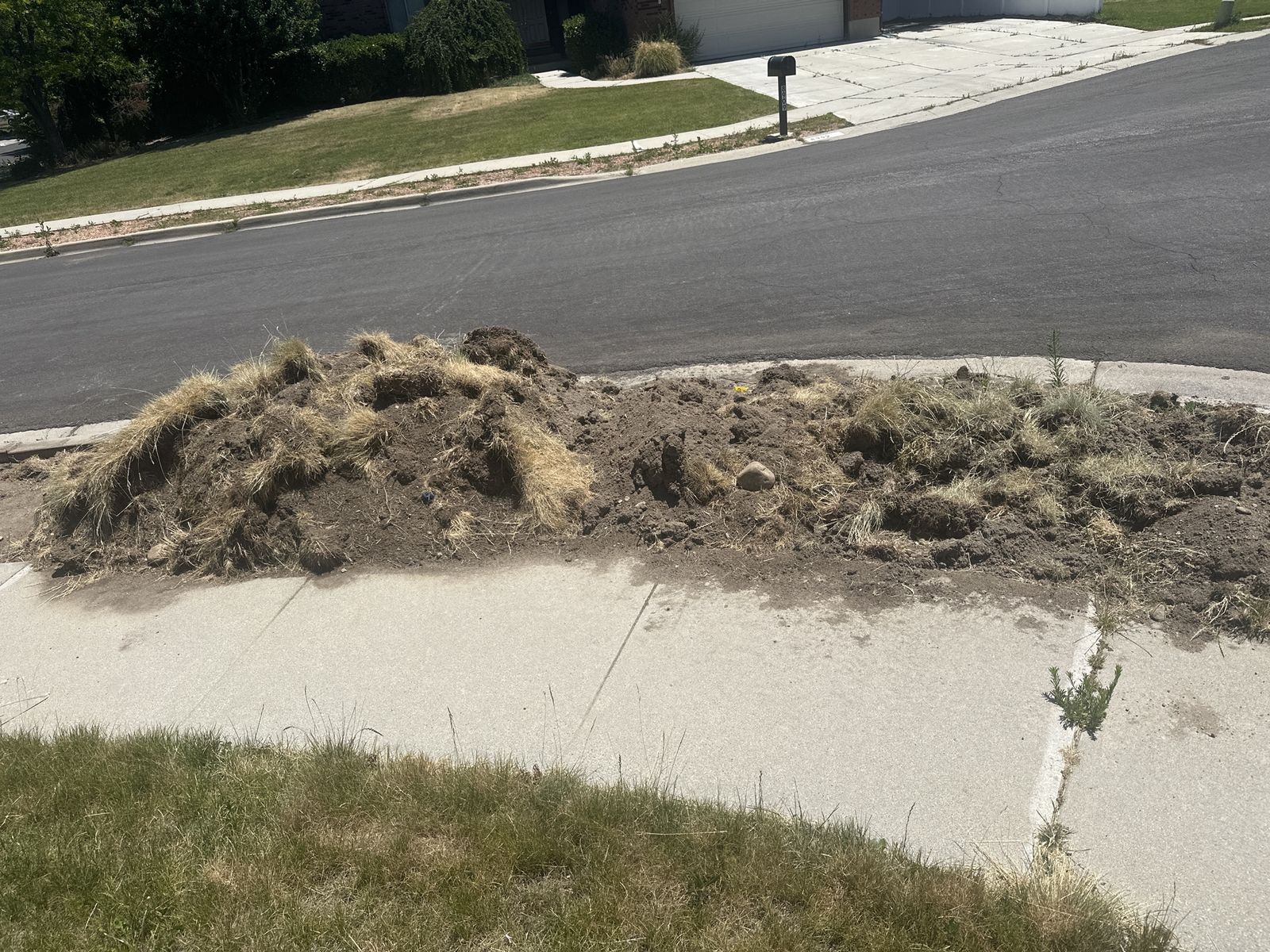 Free Fill Dirt with Grass and Rock Mix - Perfect for Landscaping & Garden Projects