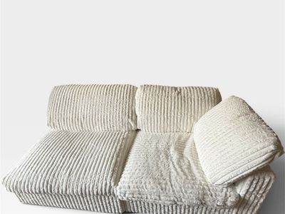 Two Piece Lounge Fuzzy Couch