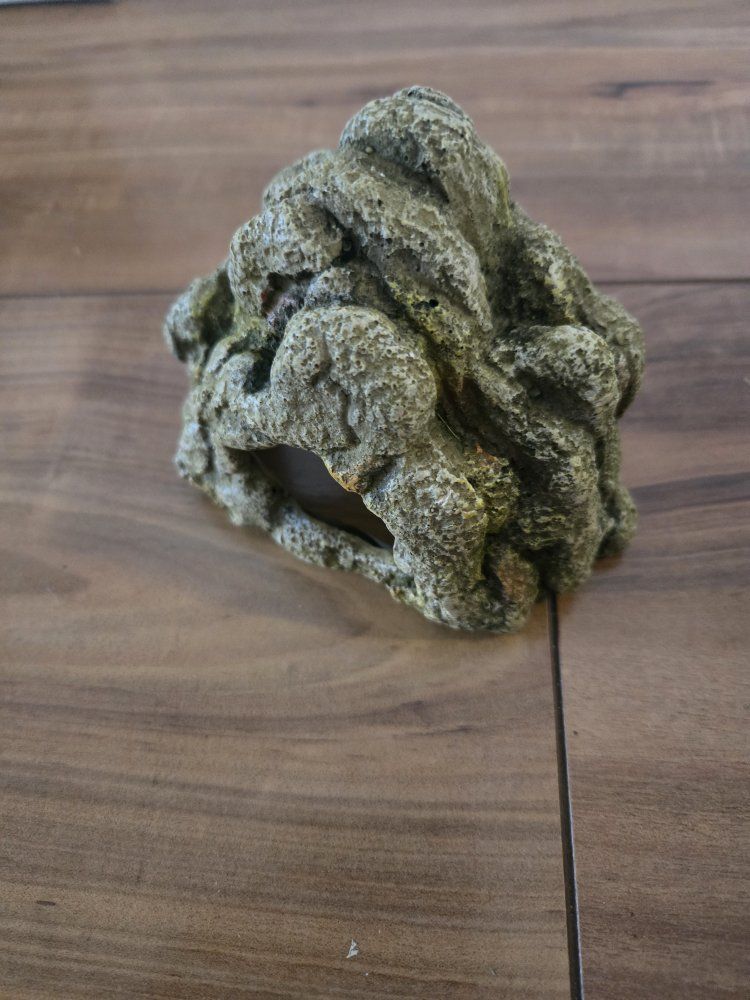reptile stone hide