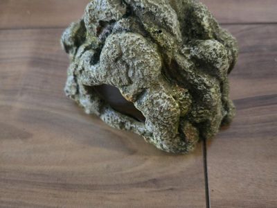 reptile stone hide