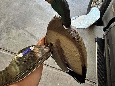 Robo duck and Quiver duck