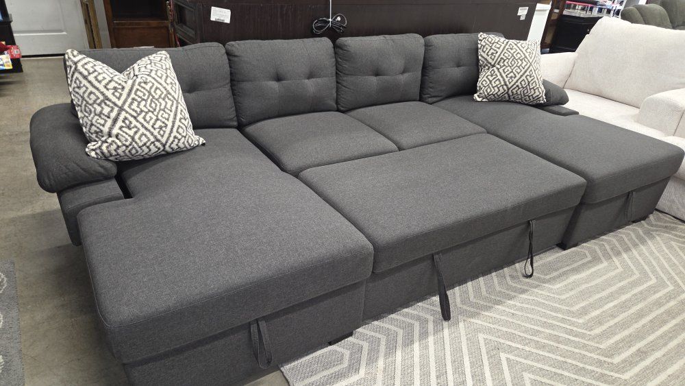 Double Chaise Sleeper Sectional
