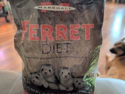 food for baby ferret unopened new