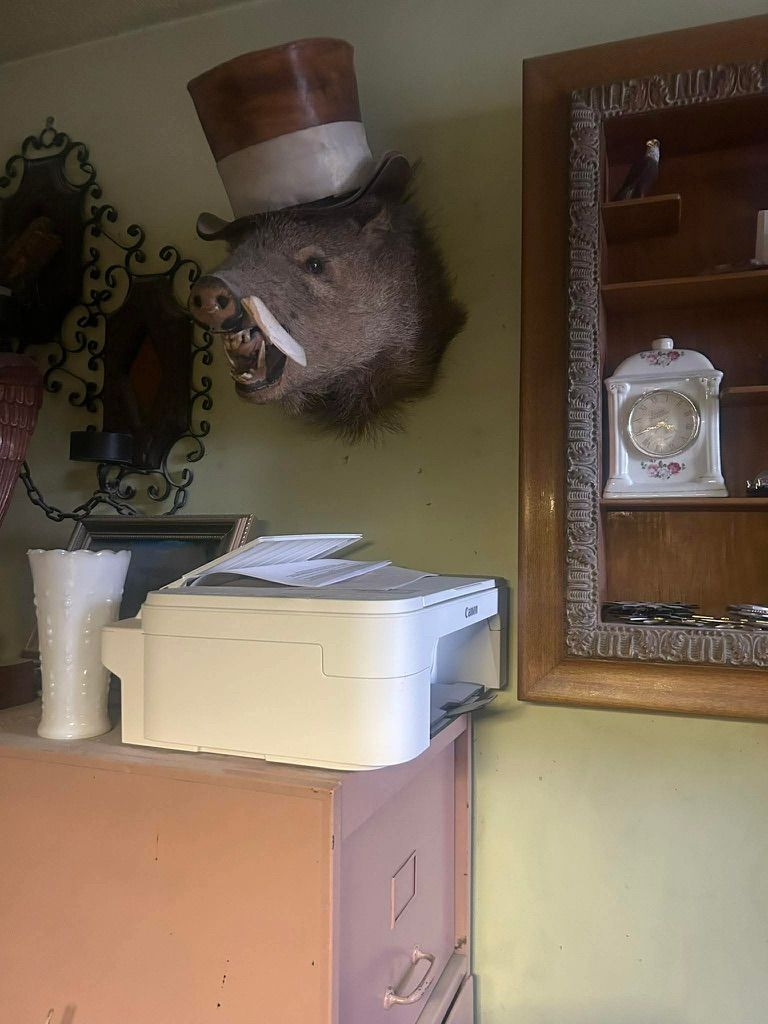 Boar Head