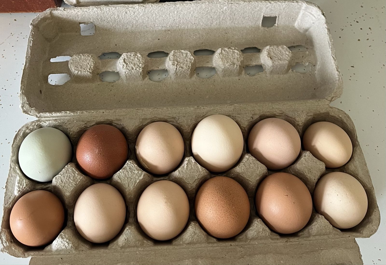 Farm Fresh Eggs