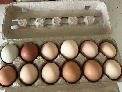 Farm Fresh Eggs