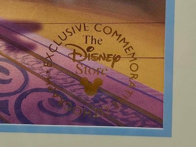 The Disney Store Commemorative Lithograph Framed Wall Art please read entire description