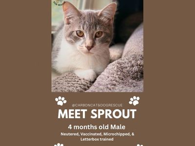 Sprout!