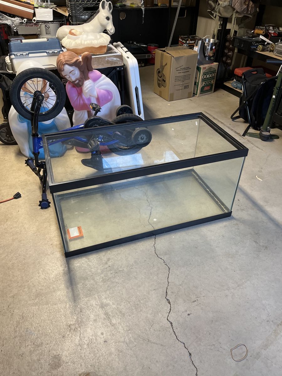 40 gallon breeder aquarium