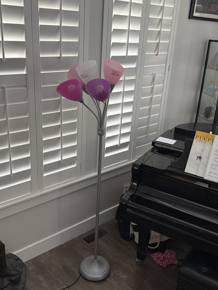 Adjustable Head Floor Lamp, Silver with Pink and Purple Shades