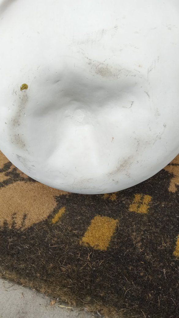 Main image 6