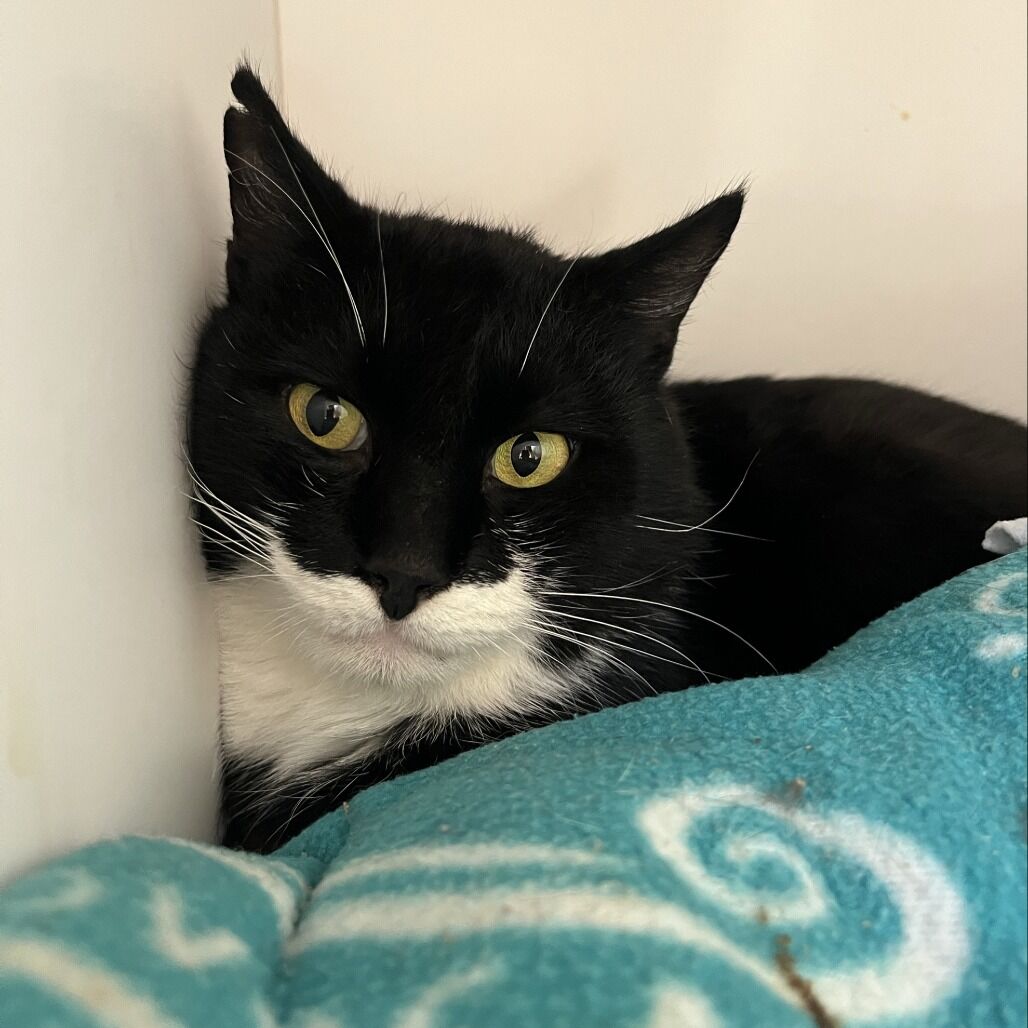 Hello my name is Ezekiel