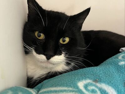 Hello my name is Ezekiel