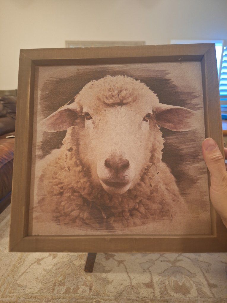 Sheep Print