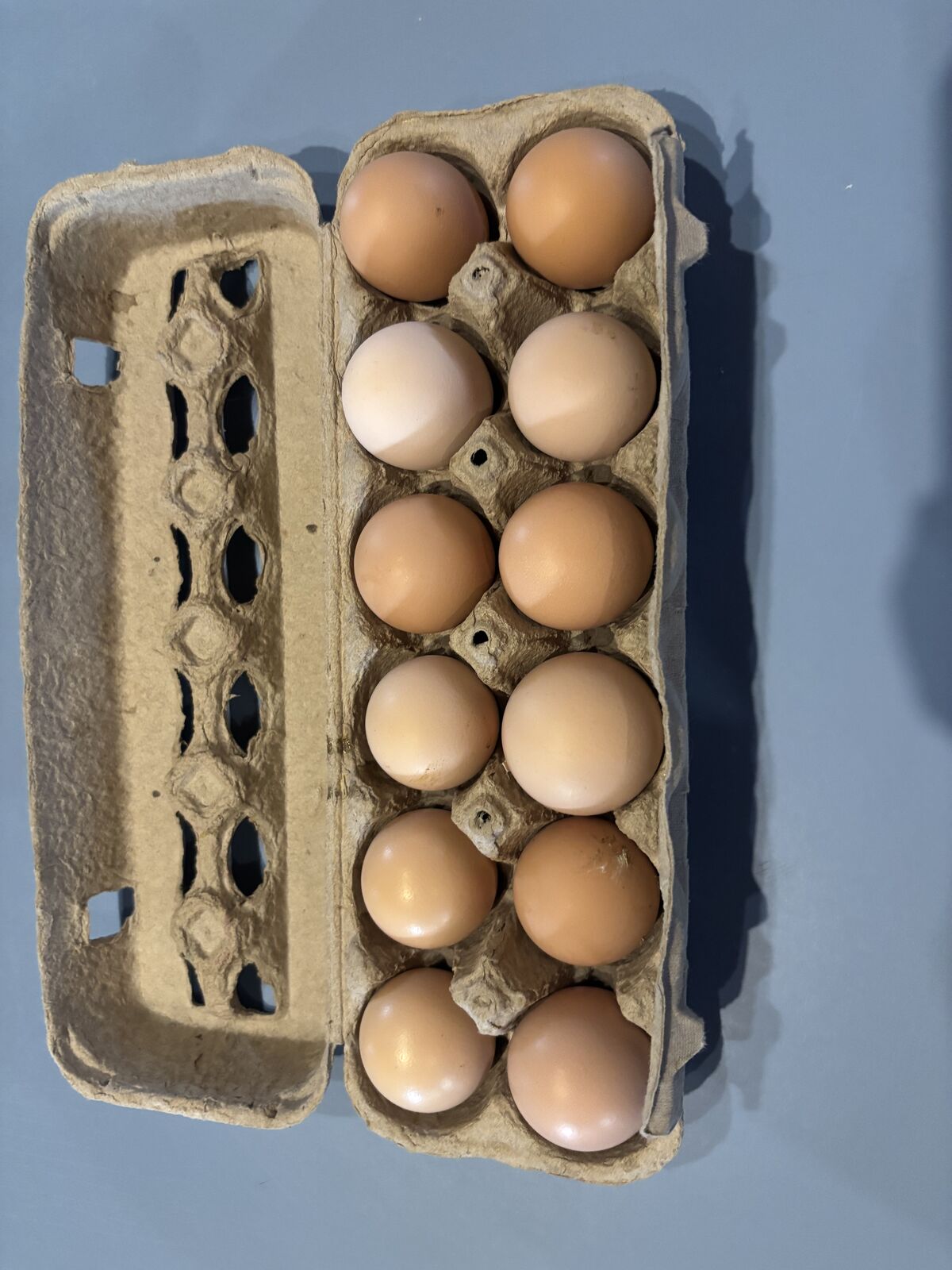 Eggs
