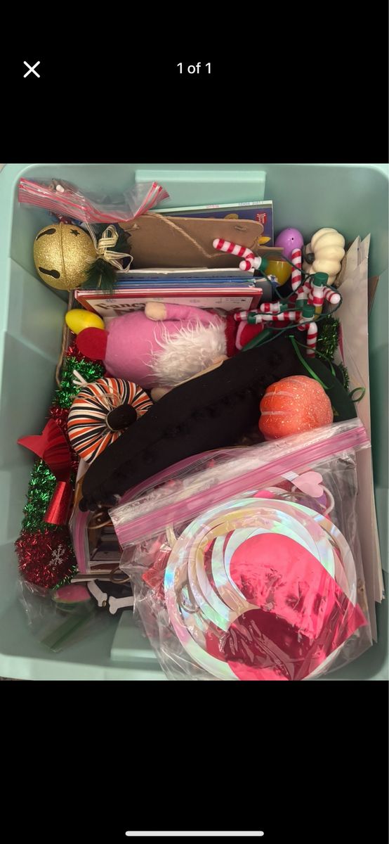 Tote full of Home Holiday decor :)