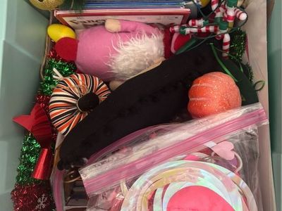 Tote full of Home Holiday decor :)