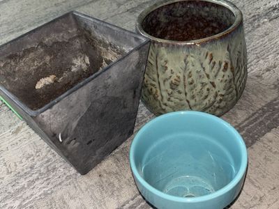 Plant pots
